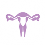 ginecologia-obstetricia